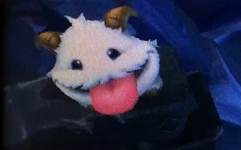 封面无法加载