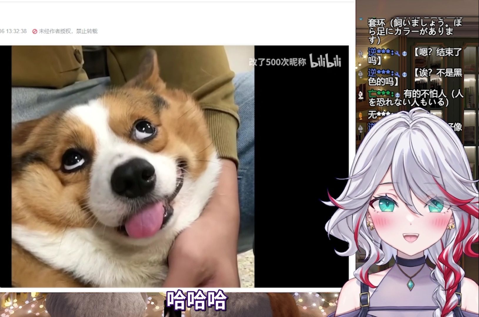 封面无法加载