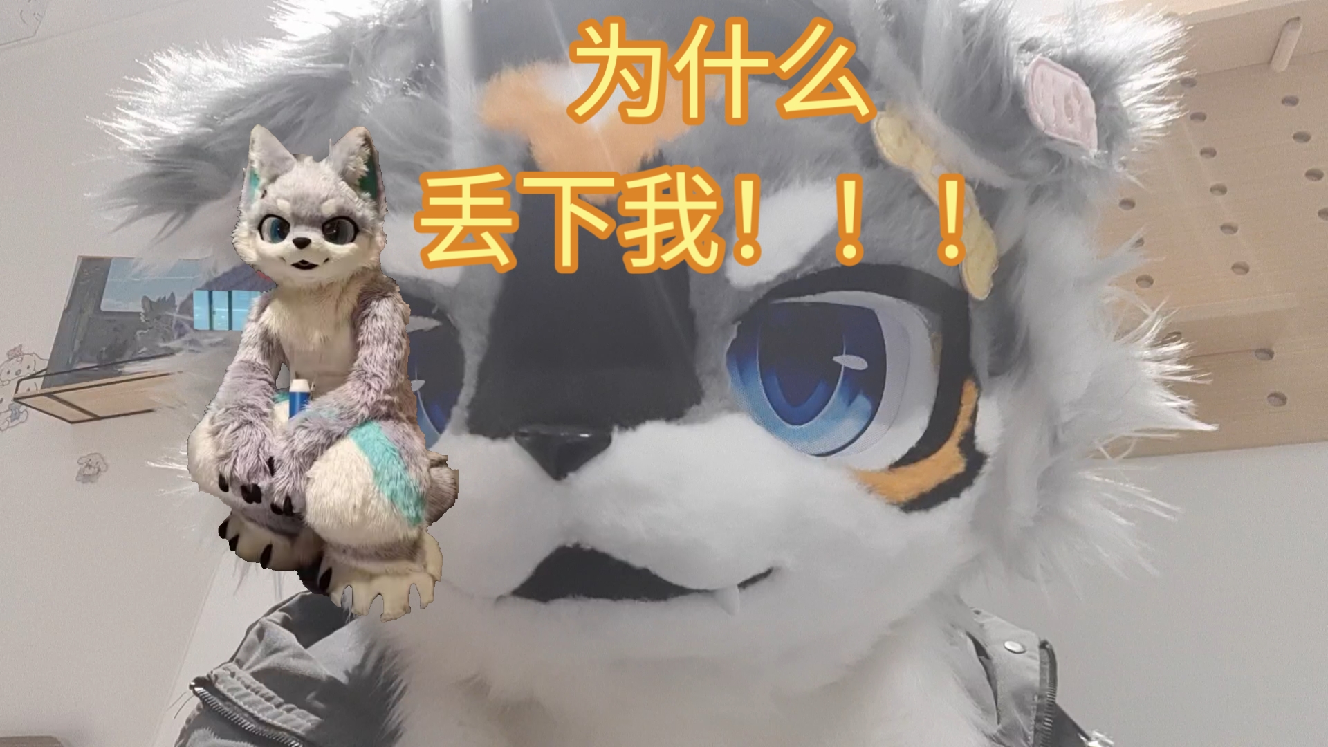 封面无法加载