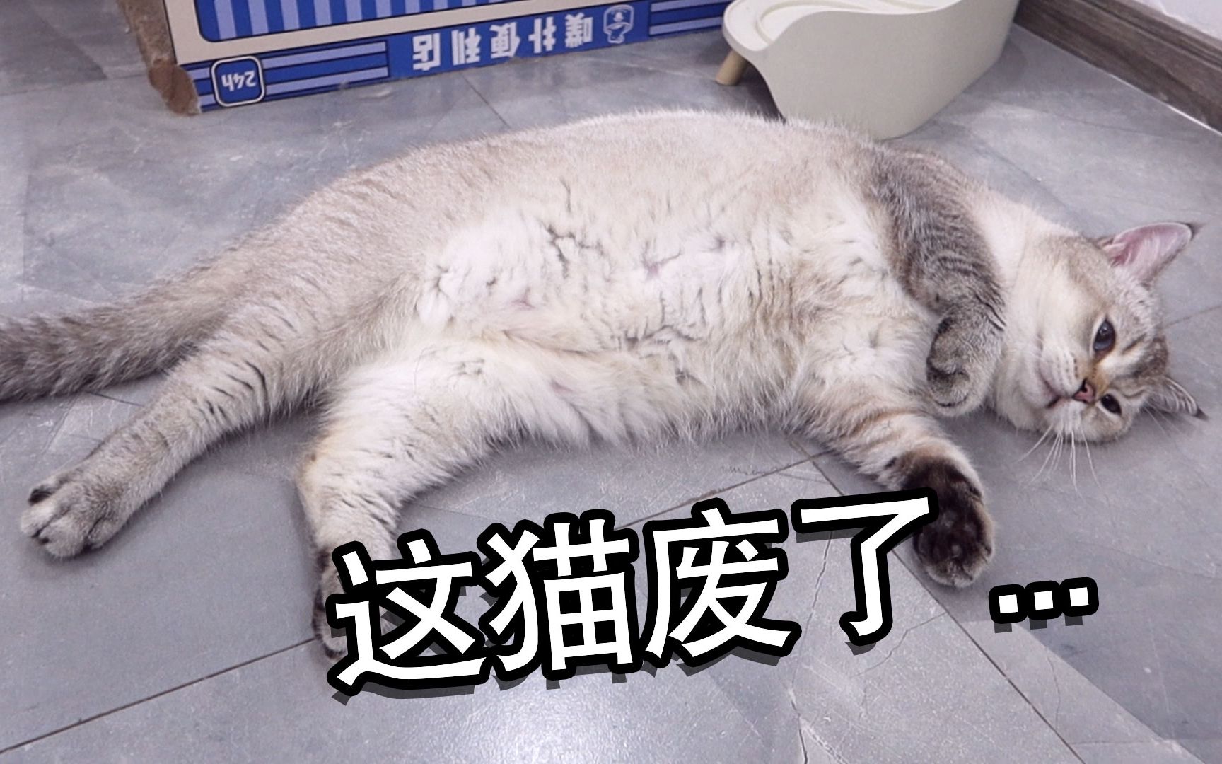 封面无法加载