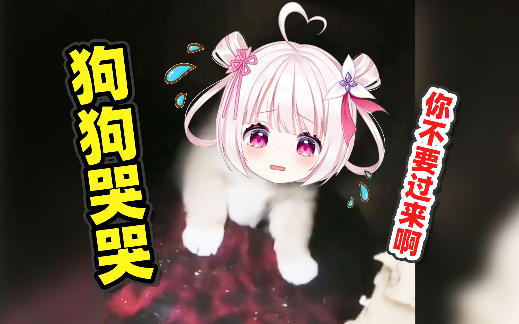 封面无法加载