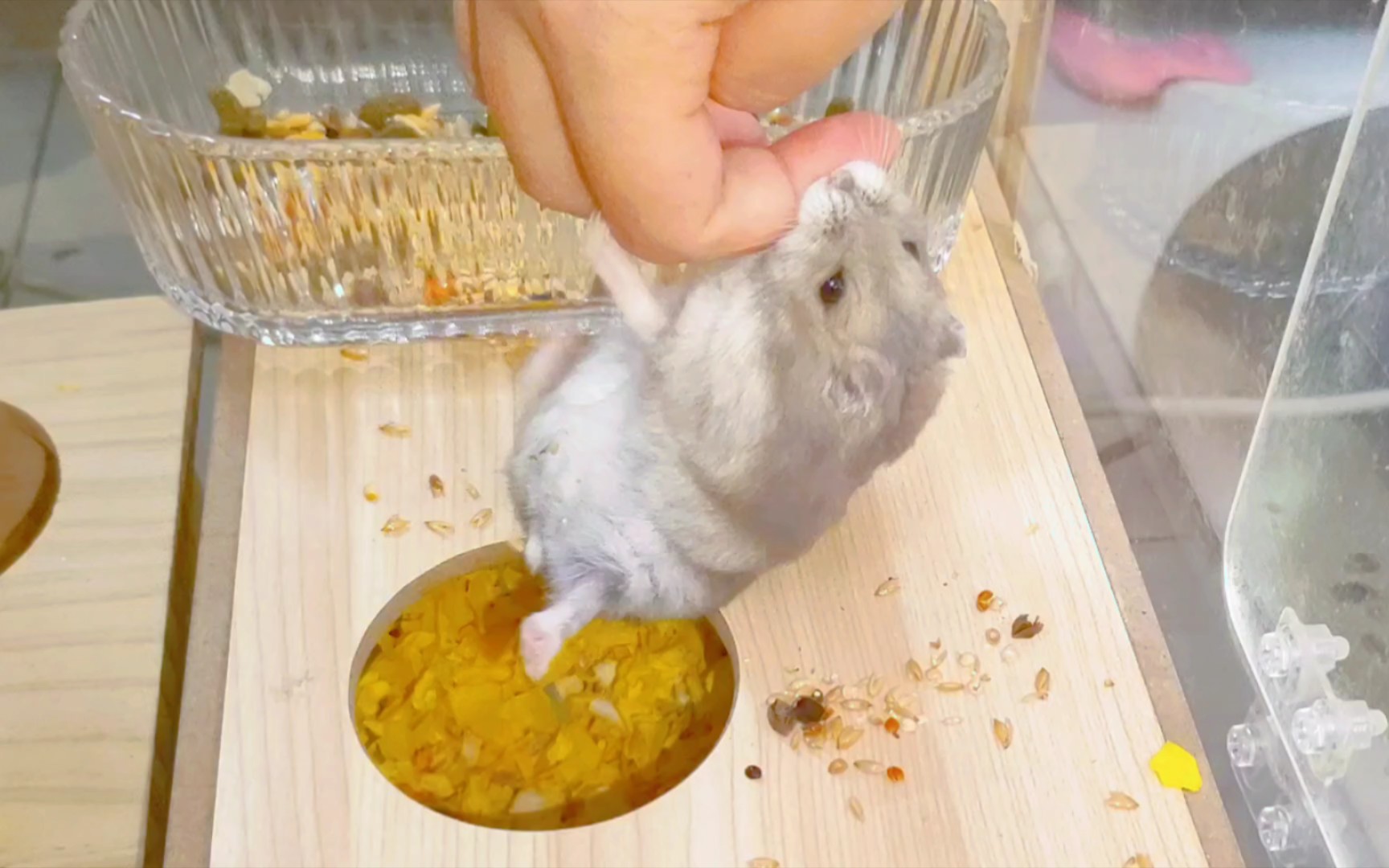 封面无法加载