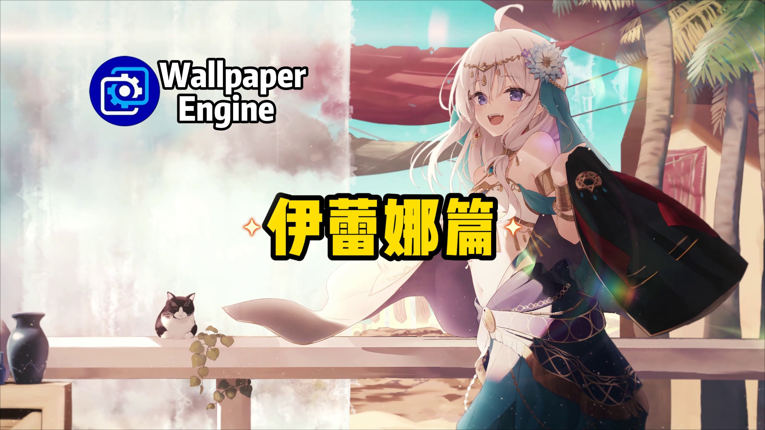 封面无法加载