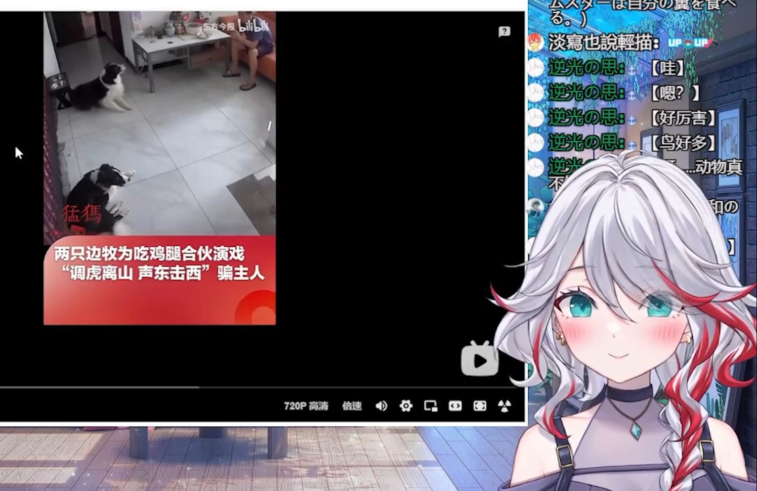 封面无法加载