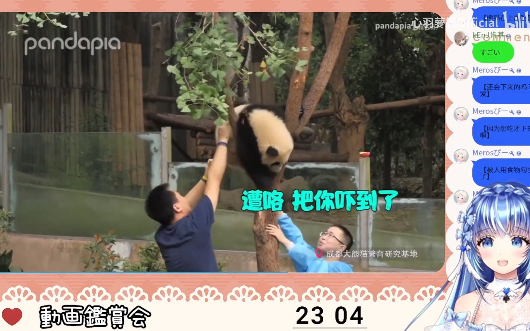 封面无法加载
