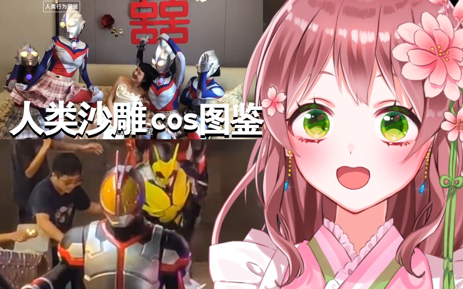 封面无法加载