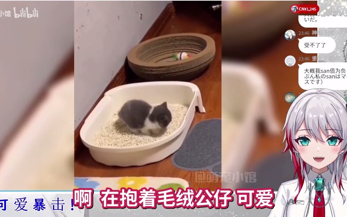 封面无法加载