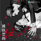 封面无法加载