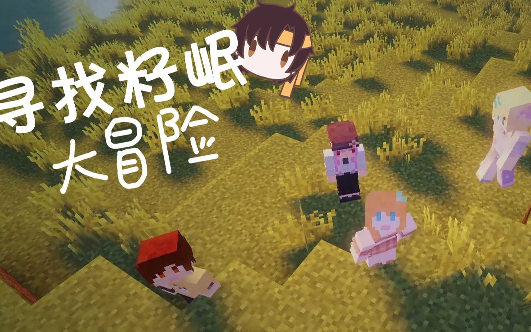 封面无法加载