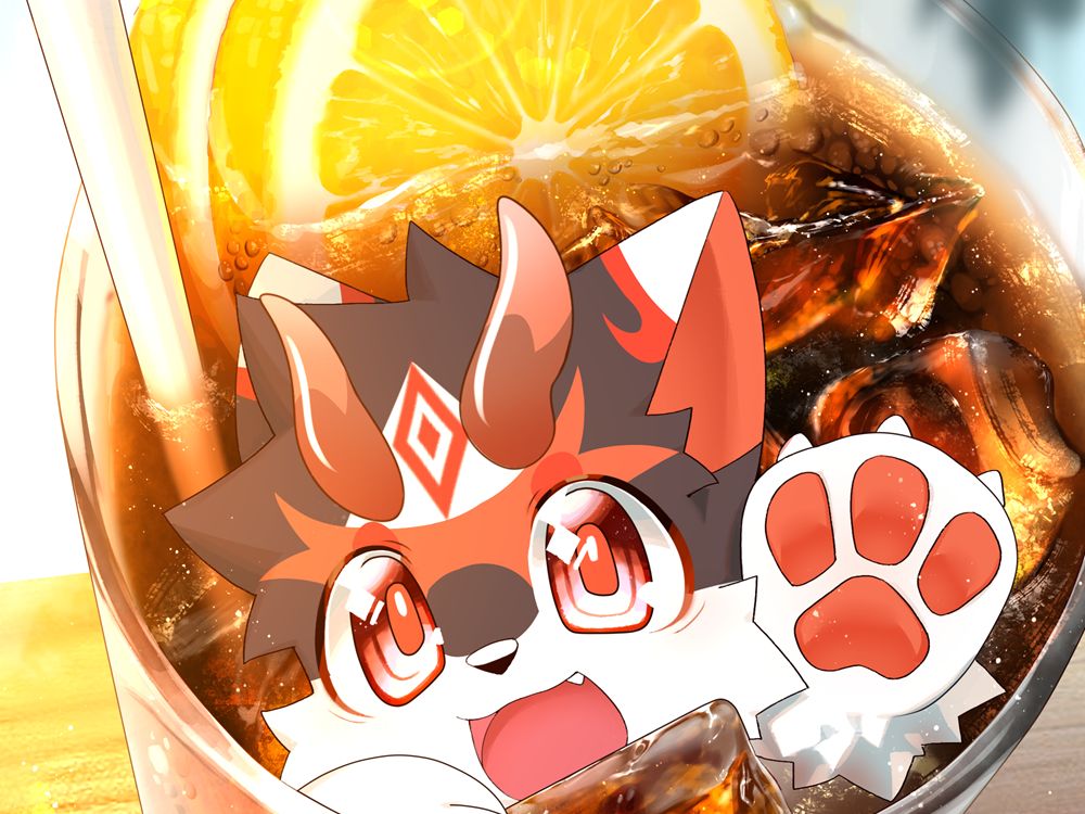 封面无法加载