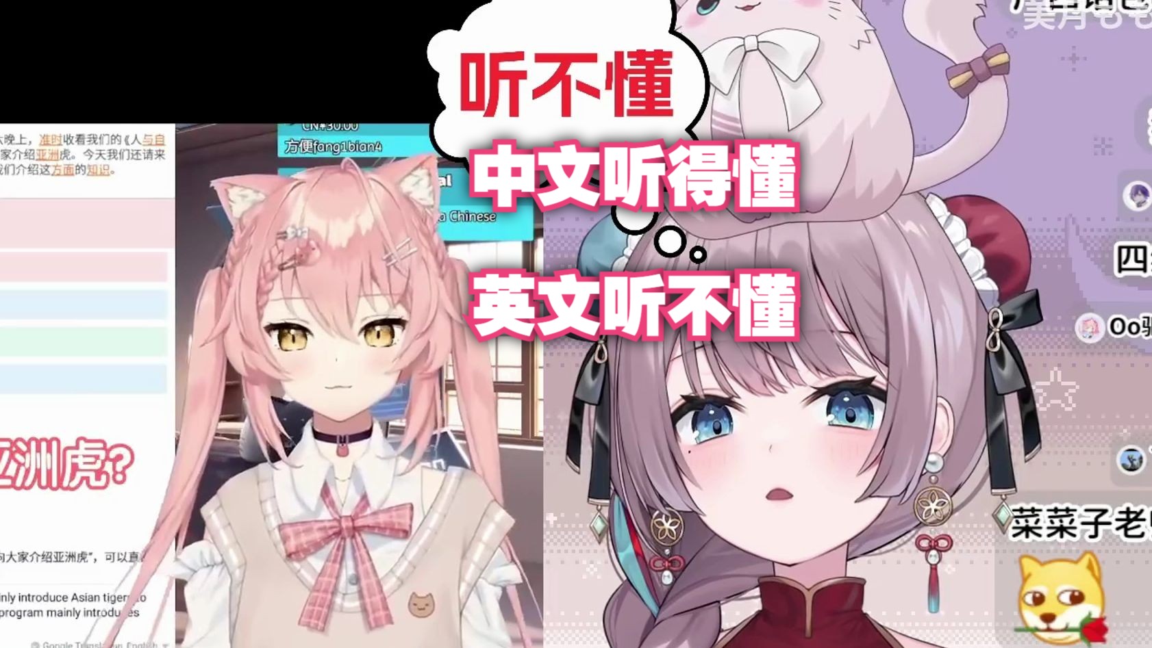 封面无法加载