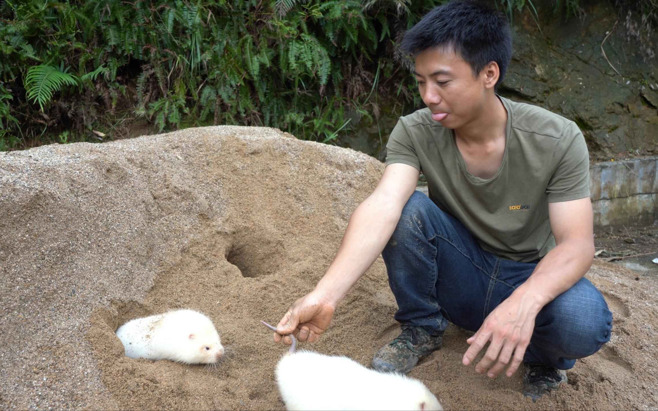 封面无法加载