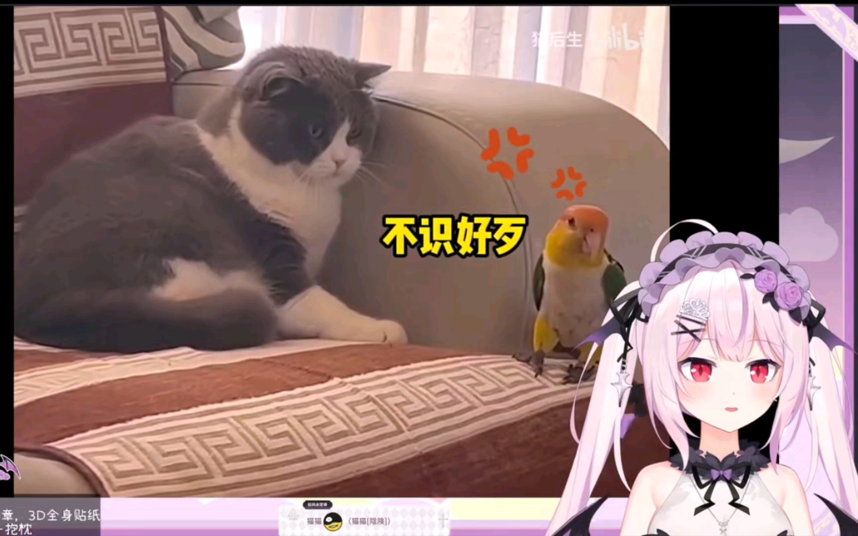封面无法加载