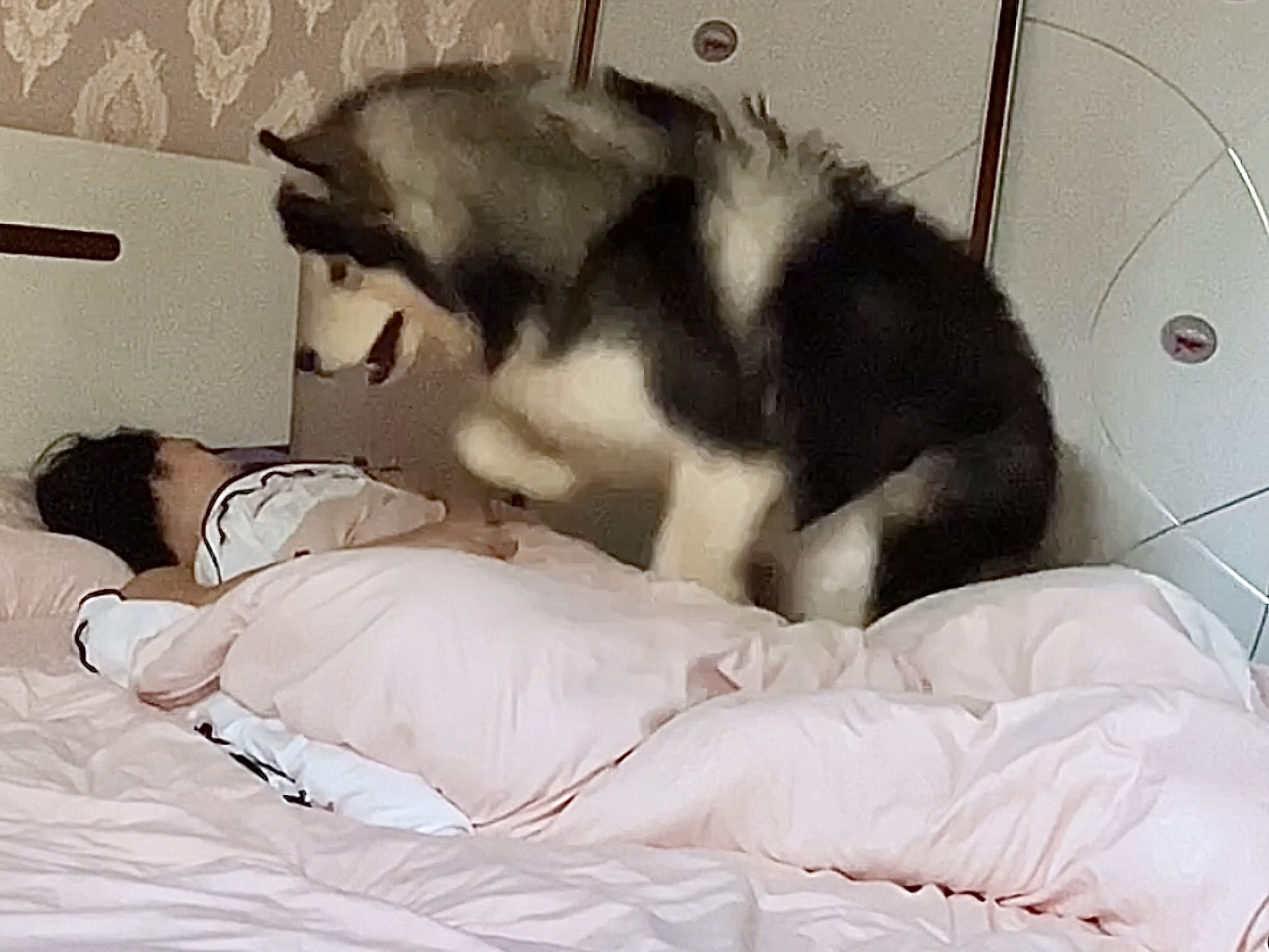 封面无法加载