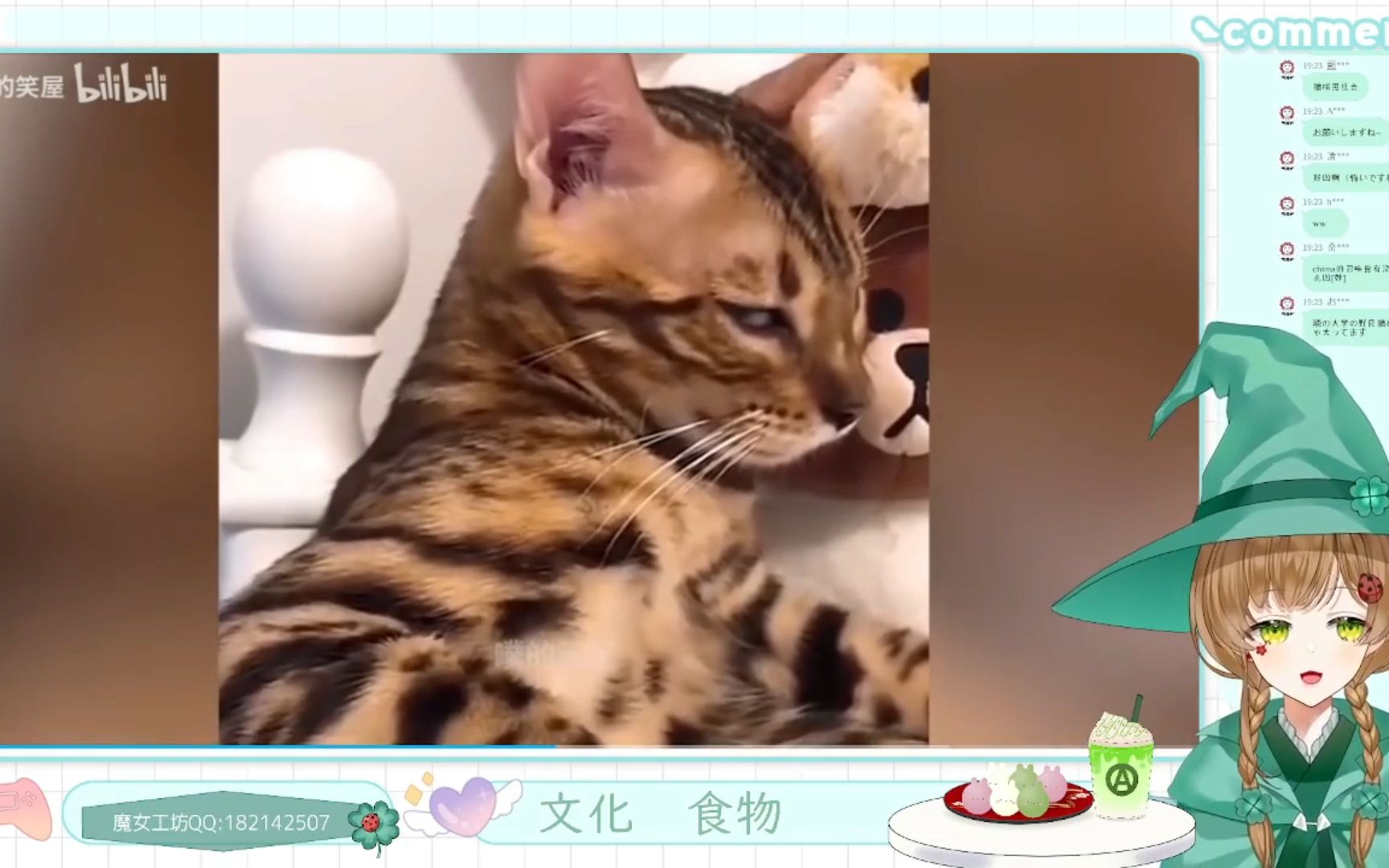 封面无法加载