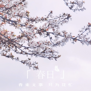 头像无法加载