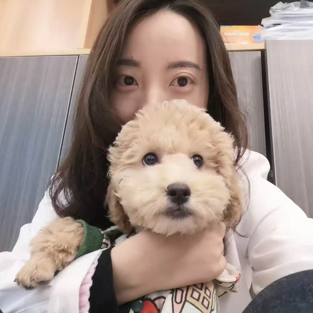 头像无法加载