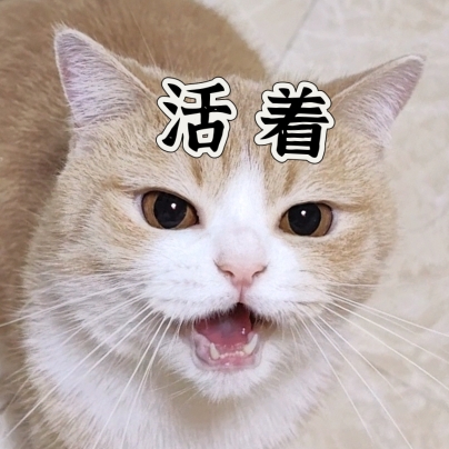 头像无法加载