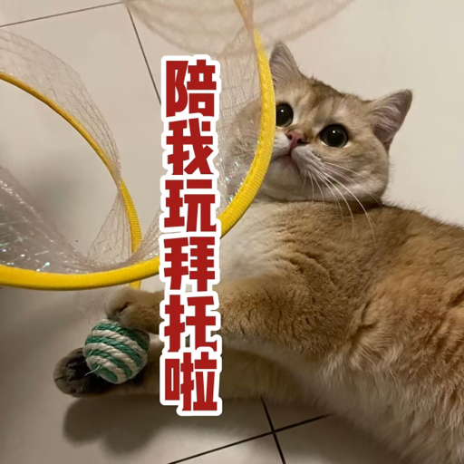 头像无法加载