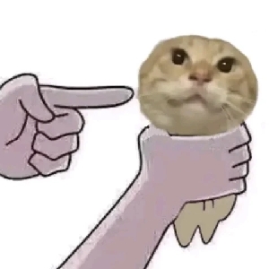头像无法加载