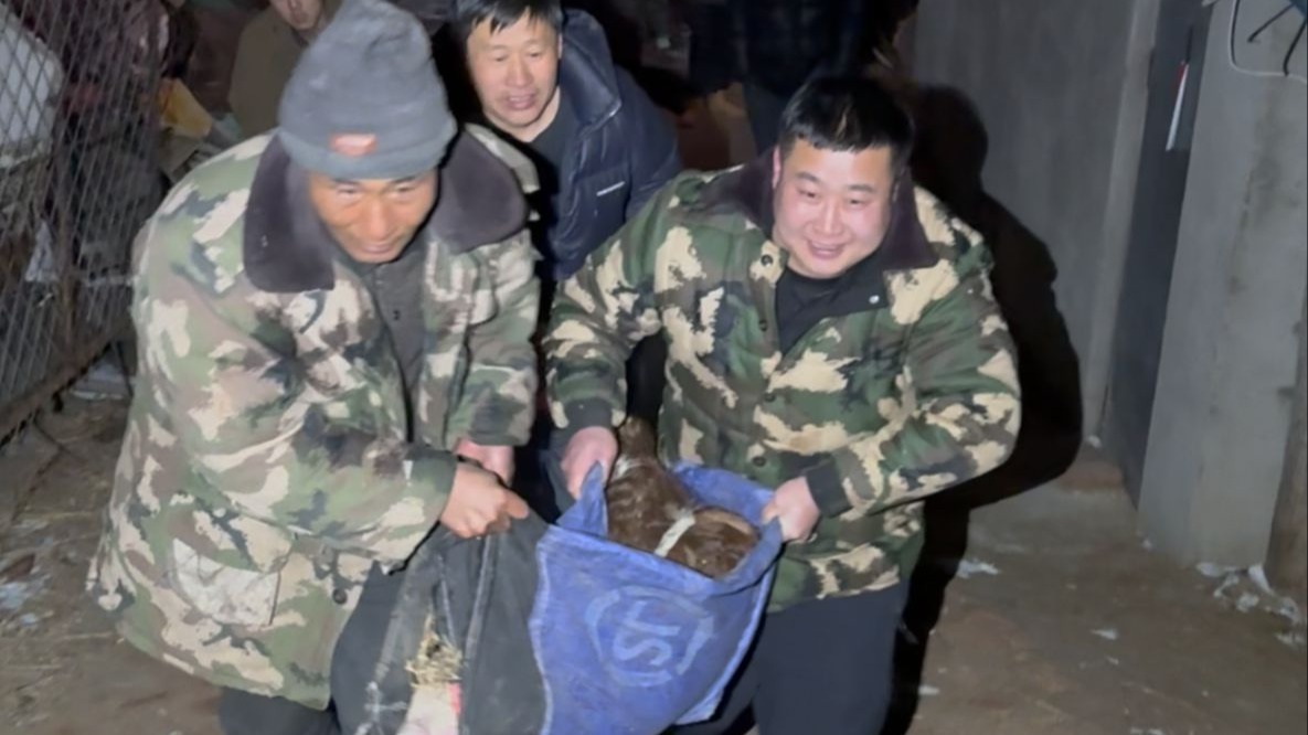 封面无法加载